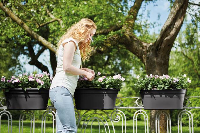 green basics flower bridge 55cm living black